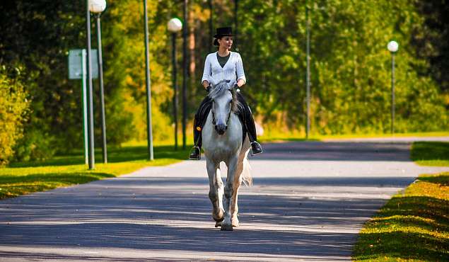 Конные прогулки