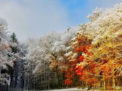 Программа анимации с24 ноября - 30 ноября в Москоу Кантри Клаб