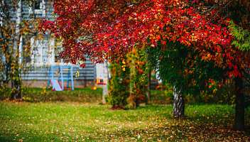 Все краски осени в «Москоу Кантри Клаб»