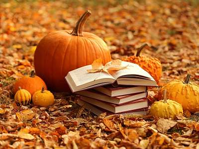 Программа анимации с 3 ноября по 9 ноября в Москоу Кантри Клаб