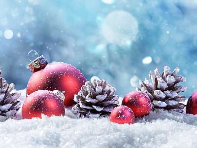 Программа анимации с 1 декабря - 7 декабря в Москоу Кантри Клаб