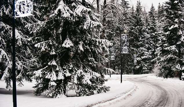 Территория