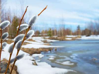 Программа анимации с 23 марта - 29 марта февраля в Москоу Кантри Клаб