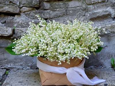 Программа анимации с 27 апреля - 3 мая февраля в Москоу Кантри Клаб