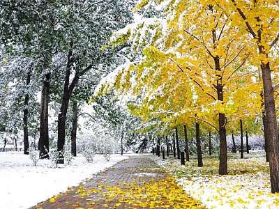 Программа анимации с 9 марта - 15 марта февраля в Москоу Кантри Клаб