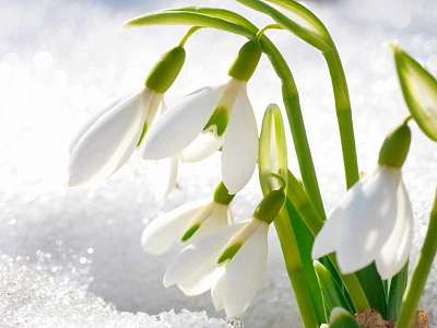 Программа анимации с 16 марта - 22 марта февраля в Москоу Кантри Клаб