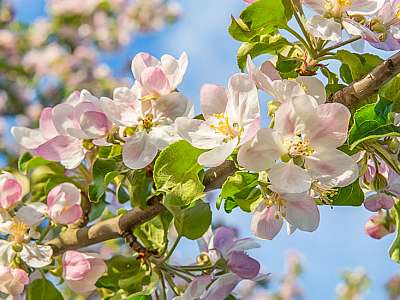 Программа анимации с 20 апреля - 26 апреля февраля в Москоу Кантри Клаб