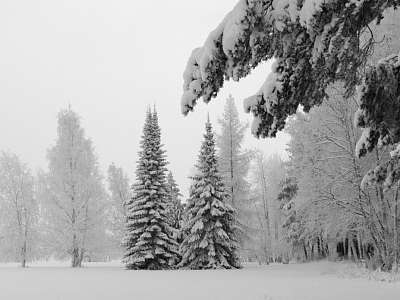 Программа анимации с 26 января - 01 февраля в Москоу Кантри Клаб