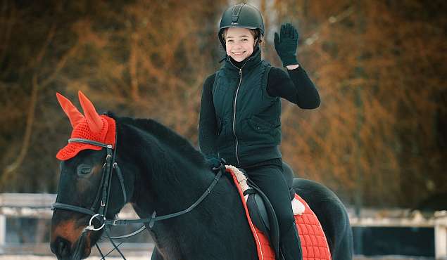 Конные прогулки Конные прогулки