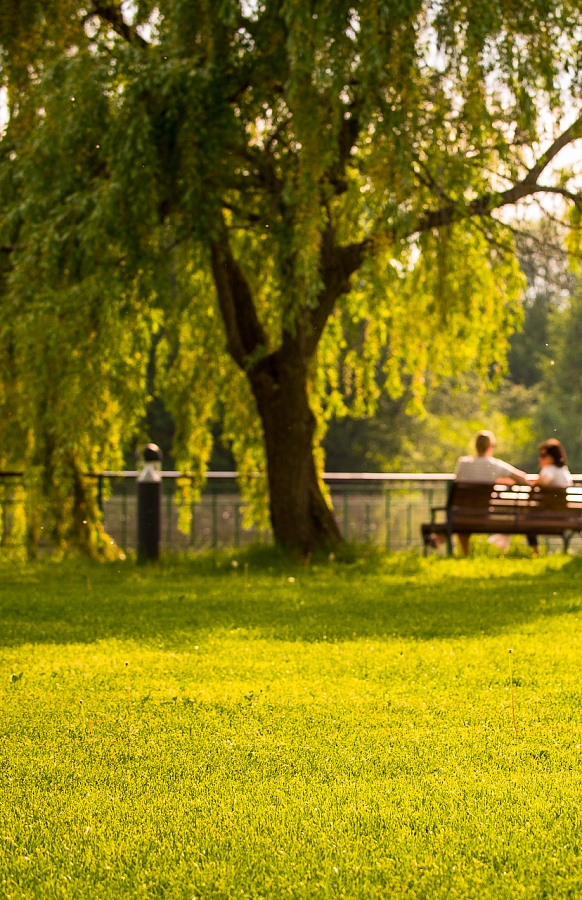 Апрельский заряд