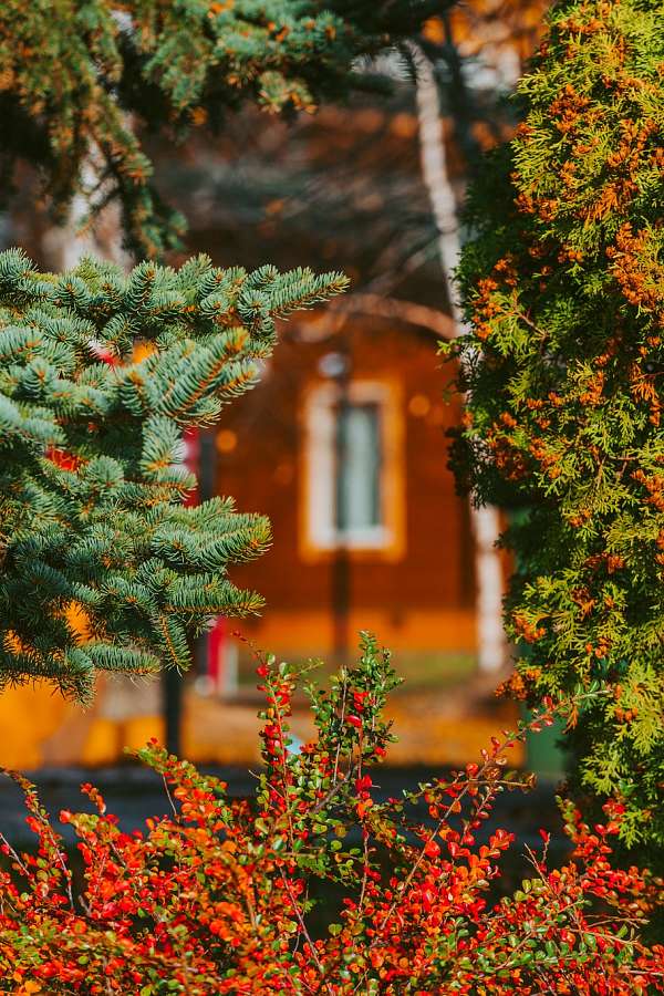 Щедрая осень в загородном комплексе