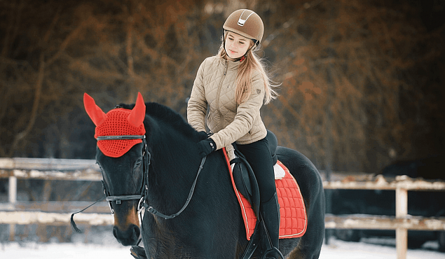 Конные прогулки