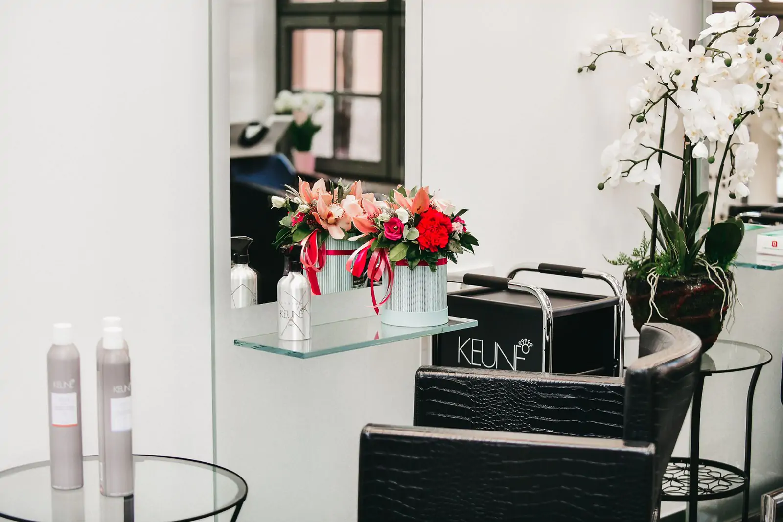 Spa and beauty parlor Spa and beauty parlor