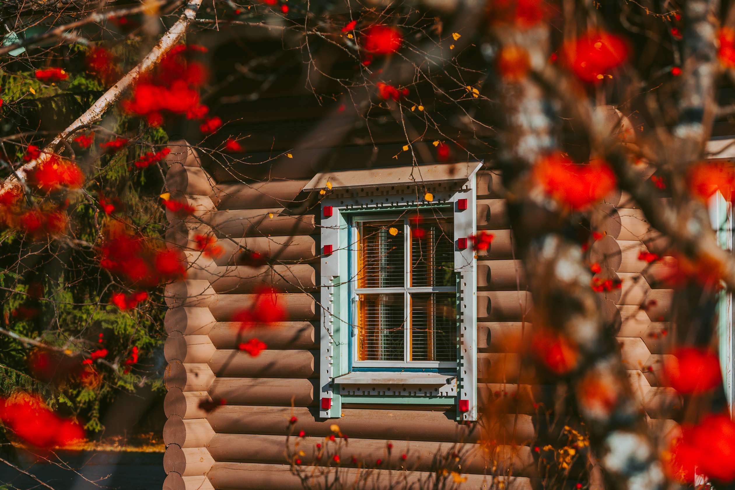 Щедрая осень в загородном комплексе  Щедрая осень в загородном комплексе